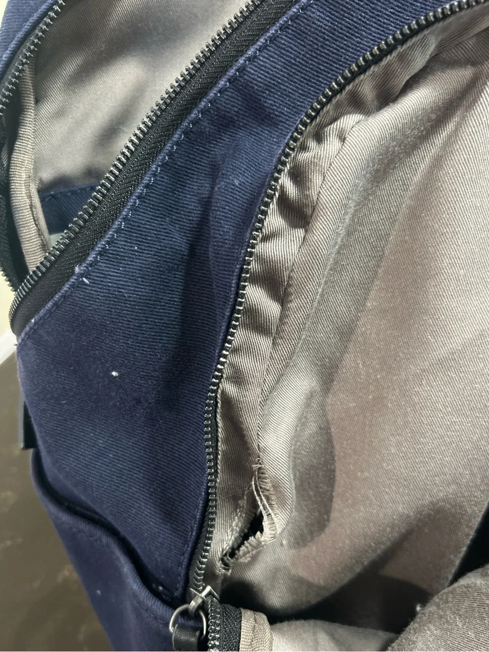Everlane Modern Commuter Canvas Backpack